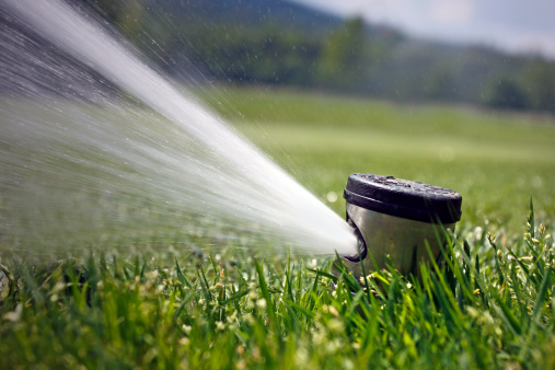 L'arrosage automatique : pourquoi séduit-il de nombreux jardiniers