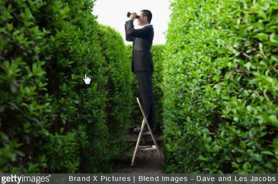 haie-jardin-comment-eviter-vis-a-vis-bambou-photinia-choisir-jardinage-maison